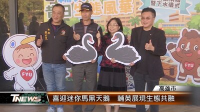 喜迎迷你馬黑天鵝 輔英展現生態共融|T-NEWS聯播網圖片(另開新視窗)